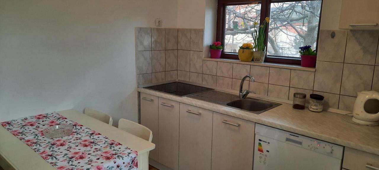 טרוגיר Apartment Ema מראה חיצוני תמונה