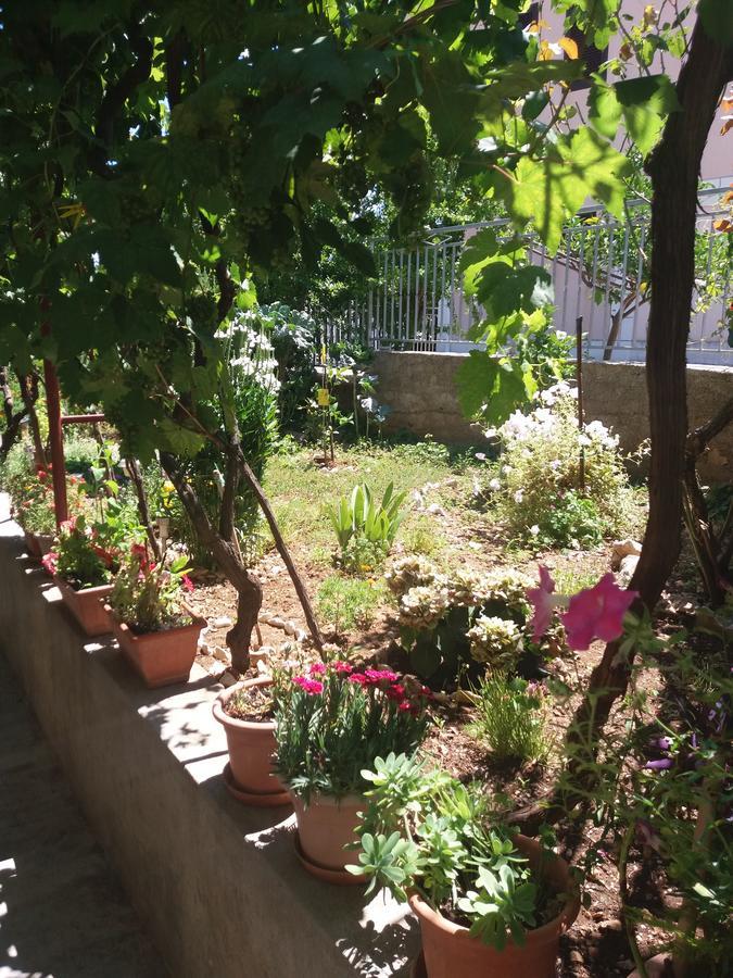 טרוגיר Apartment Ema מראה חיצוני תמונה